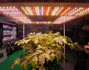 Expogrow 2019 – Irun