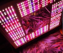 Heisenberg LED Grow Light