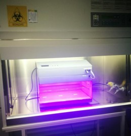 Hipocrates UV LED disinfection cabinet